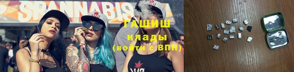 прущие грибы Абинск